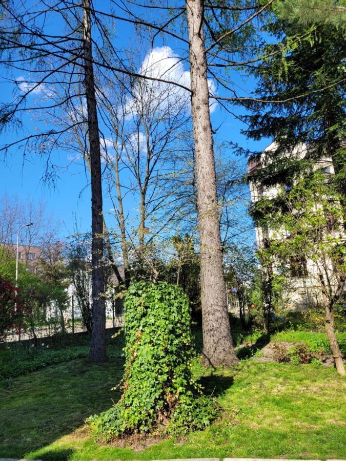 Cichy Apartament W Centrum Nowy Sącz Eksteriør bilde